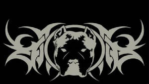 pitgear-861-2.jpg